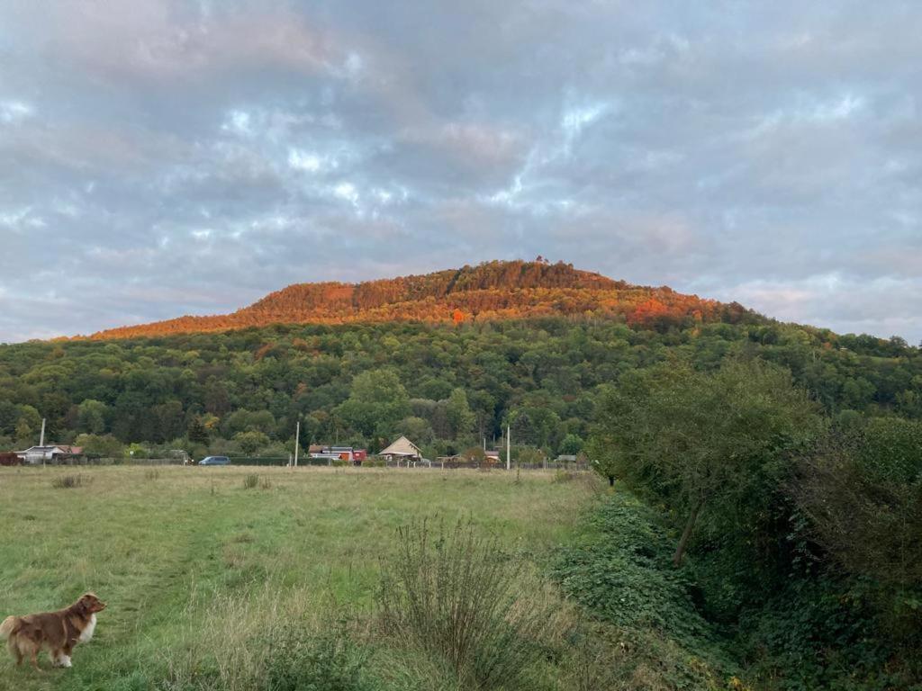 Jena Paradies Екстериор снимка
